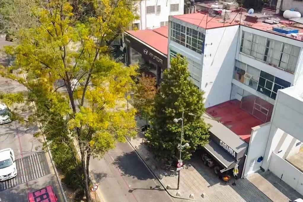 ¡Nuevo! Bamboo Celebrity Villa เม็กซิโกซิตี้ ภายนอก รูปภาพ